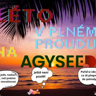 Léto v plném proudu